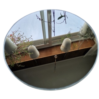 Espelho redondo refletindo plantas, vigas de madeira e teto com janela