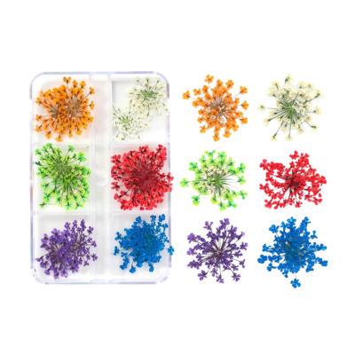 Flores secas coloridas em estojo plástico com divisórias