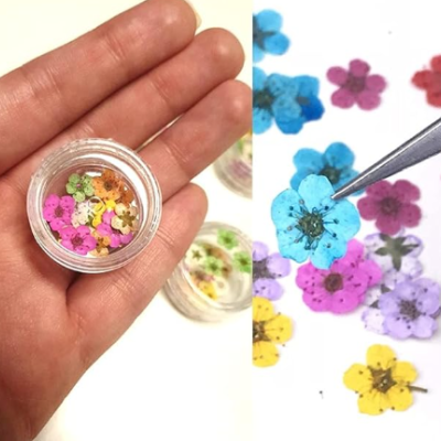 Flores pequenas coloridas em pequenos recipientes transparentes com uma pinça a segurar uma flor azul