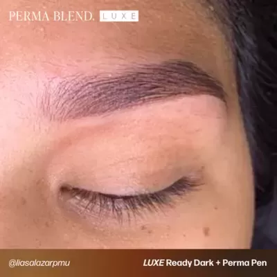 Close-up de sobrancelha micropigmentada com texto Perma Blend e produto LUXE