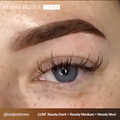 Olho com sobrancelha preenchida e pestanas longas, texto PERMA BLEND LUXE