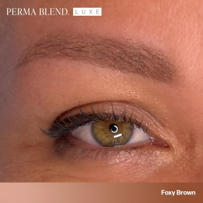 Olho com sobrancelha castanho claro pigmentada e maquilhagem subtil