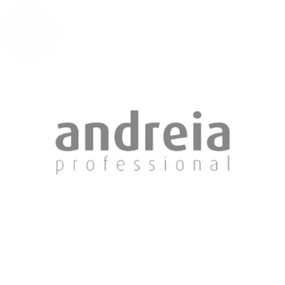 Logótipo 'andreia professional' em cinzento sobre fundo branco