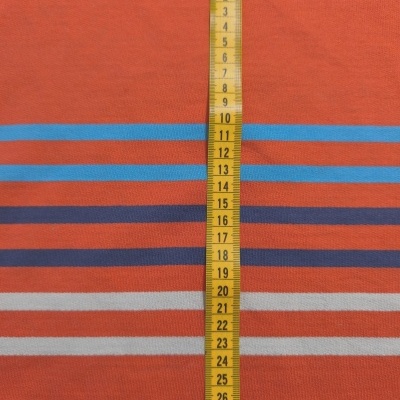 Sweat américain avec cardage RAYAS