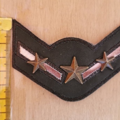 Application thermocoulante DIVISA 3 ÉTOILES