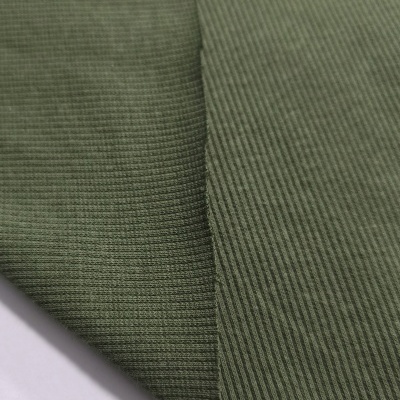 Maille côtelée/rib DEEP LINCHEN GREEN