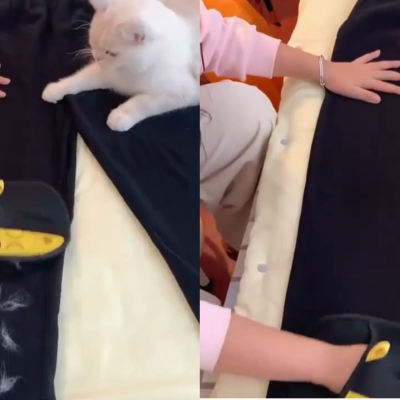 Guante para eliminar el pelo