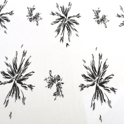 Tissu jersey coton BIGBEND