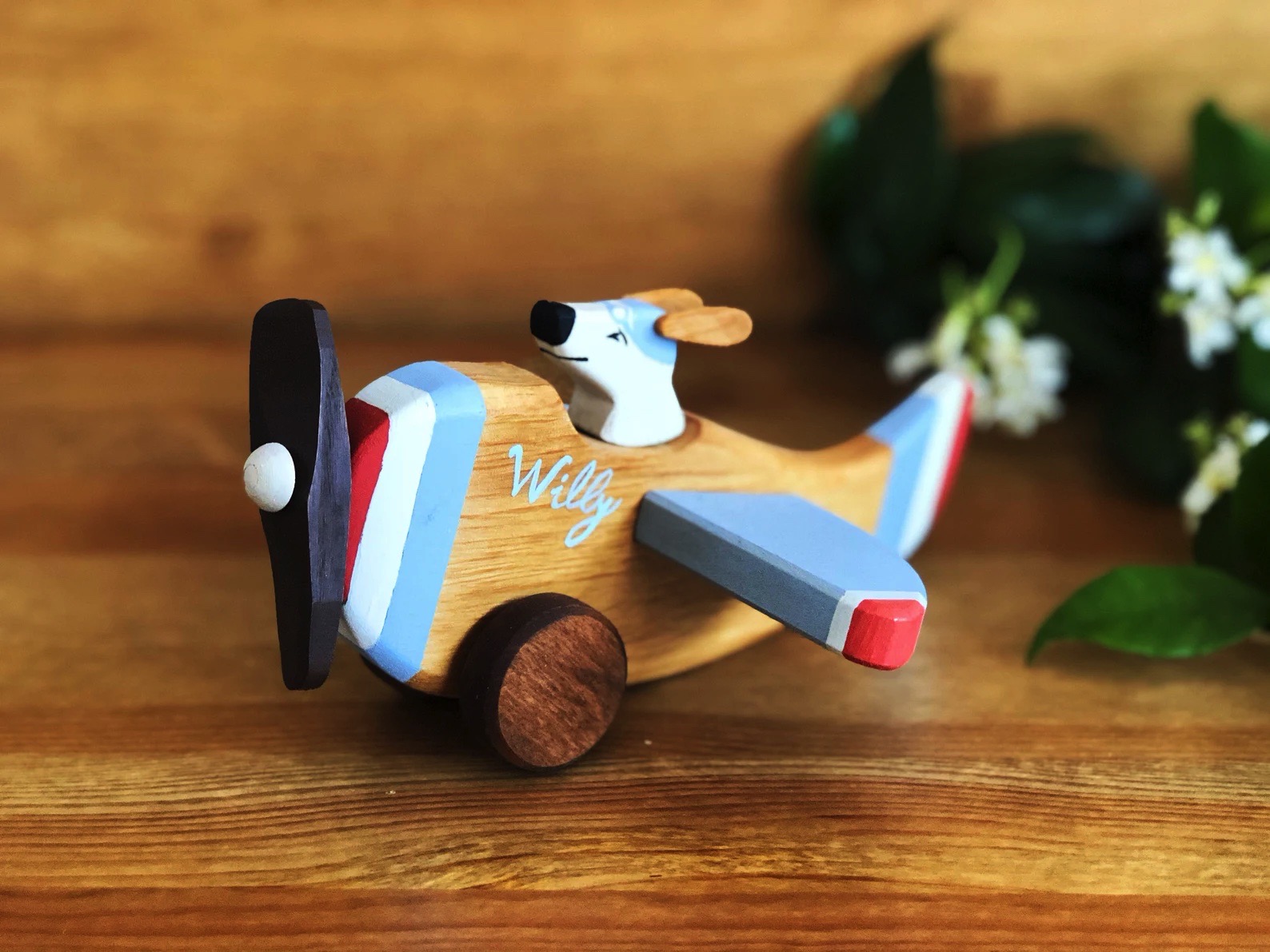 Avião de madeira pintado com nome Willy