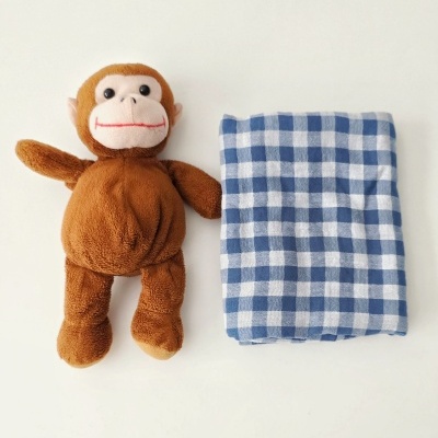 Urso de peluche castanho lado a lado com tecido quadriculado azul e branco