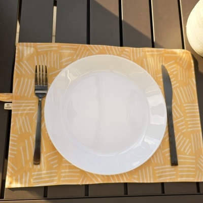 Jogo americano amarelo com linhas brancas, prato branco, talheres pretos, e vaso com suculenta