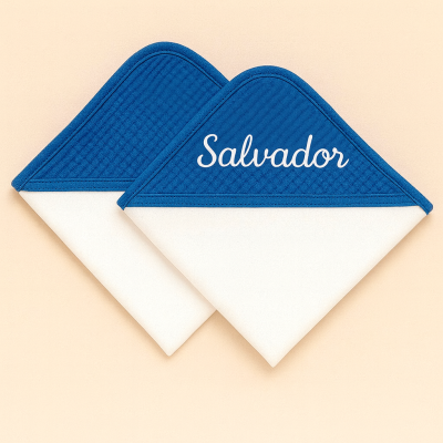 Panos de cozinha azuis e brancos com nome bordado