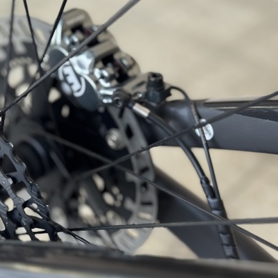 Roda traseira de bicicleta com travão de disco e raios pretos