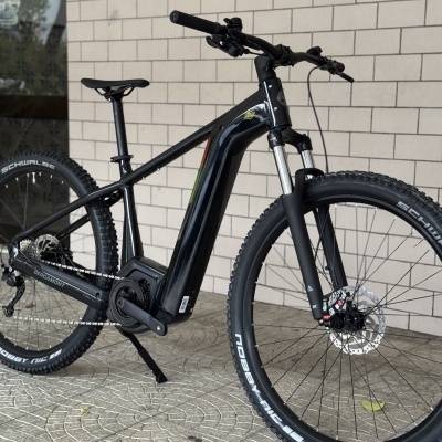 Bicicleta elétrica preta com pneus Schwalbe Nobby Nic e freios de disco junto a parede de tijolos brancos