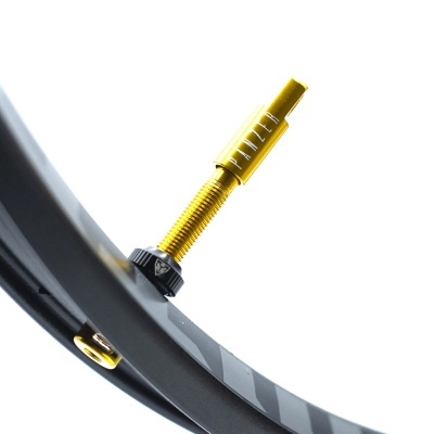 Válvula dourada na roda preta de bicicleta