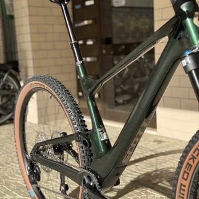 Bicicleta de montanha verde metálico com pneus Schwalbe, quadro SCOTT