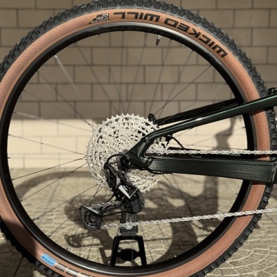 Roda traseira de bicicleta com pneu WICKED WILD castanho e preto num chão e parede de tijolos