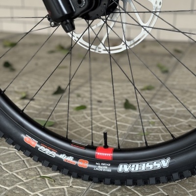 Roda de bicicleta preta com pneu grosso e disco de travão