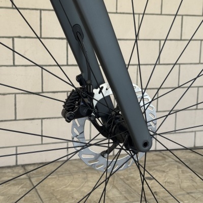 Roda dianteira de bicicleta com disco de travão prateado e garfo cinza