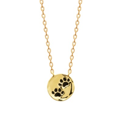 Colar dourado com pendente redondo com patas em relevo.