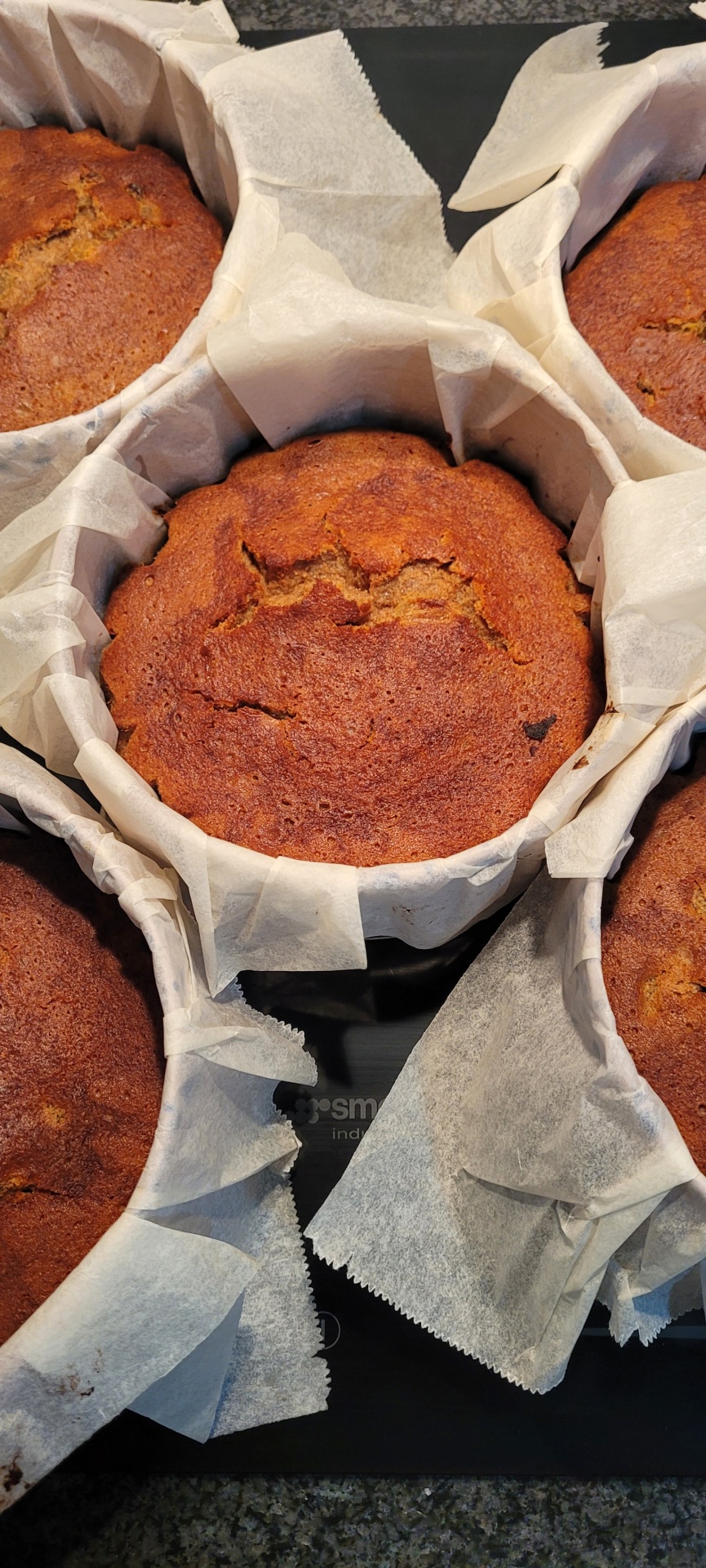 Bolos redondos castanhos em formas com papel vegetal branco sobre bancada cinzenta