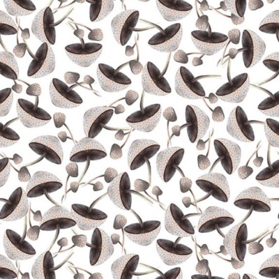 Blissful Bounty | Mushrooms - White | Blank Quilting