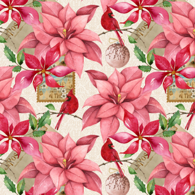 Flor de Natal | Peripan