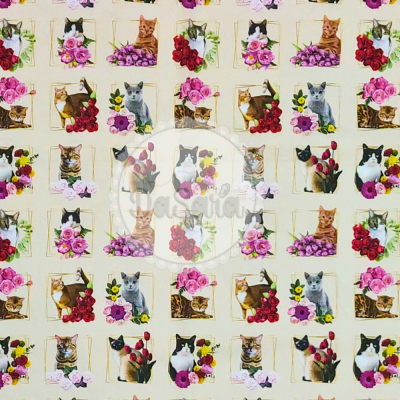 Gatos no Quadrado - Cats and Flowers