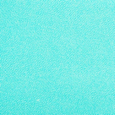 Pindots | Dutch Heritage