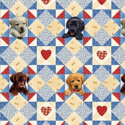 Puppies Start Quilt | Cyan :: Pups in the Garden | Henry Glass
