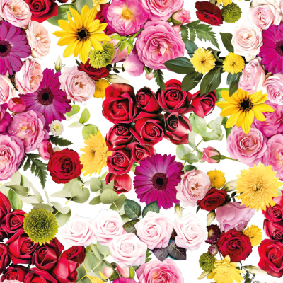 Flores | Cats and Flowers