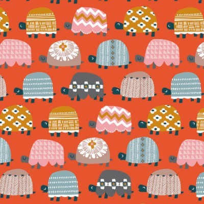 Hibernate - Tortoise | Dashwood Studio