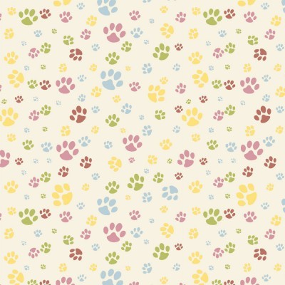 PATINHAS | PANDINHAS | FABRICART