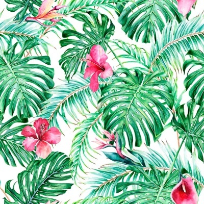 Loneta | Tropical - Costela-de-Adão