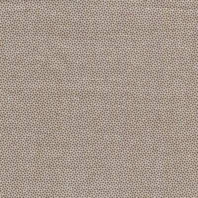 Pindots | Dutch Heritage