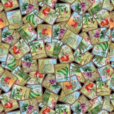 Blissful Bounty | Tossed Seed Packets - Black | Blank Quilting