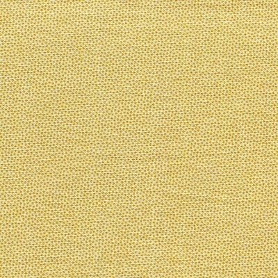 Pindots | Dutch Heritage