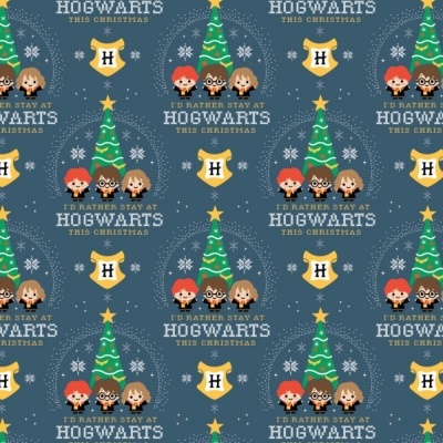 Harry Potter | Christmas at Hogwarts
