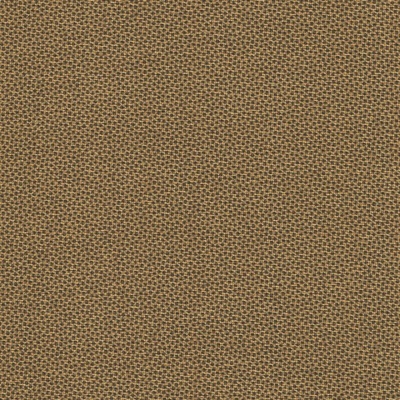 Pindots | Dutch Heritage