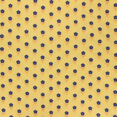 Delight Flowers - Yellow | Fiona Hewitt