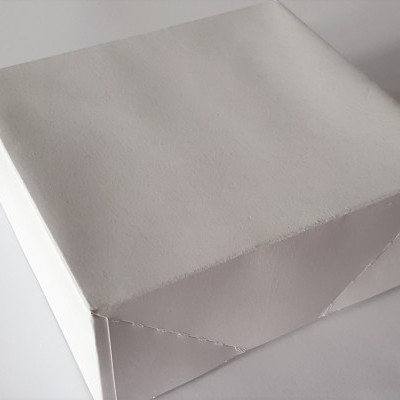 Caixa de papelão branca simples sobre superfície branca