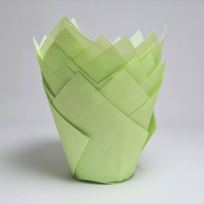 Forminhas para cupcakes de papel verde claro dobradas em forma de tulipa
