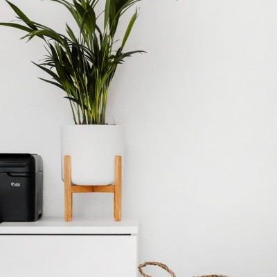 Planta em vaso branco com suporte de madeira sobre móvel branco junto a caixa preta e cesta trançada no chão