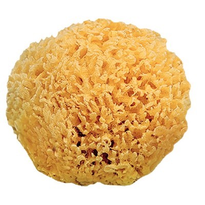 Esponja natural redonda amarelo com textura porosa