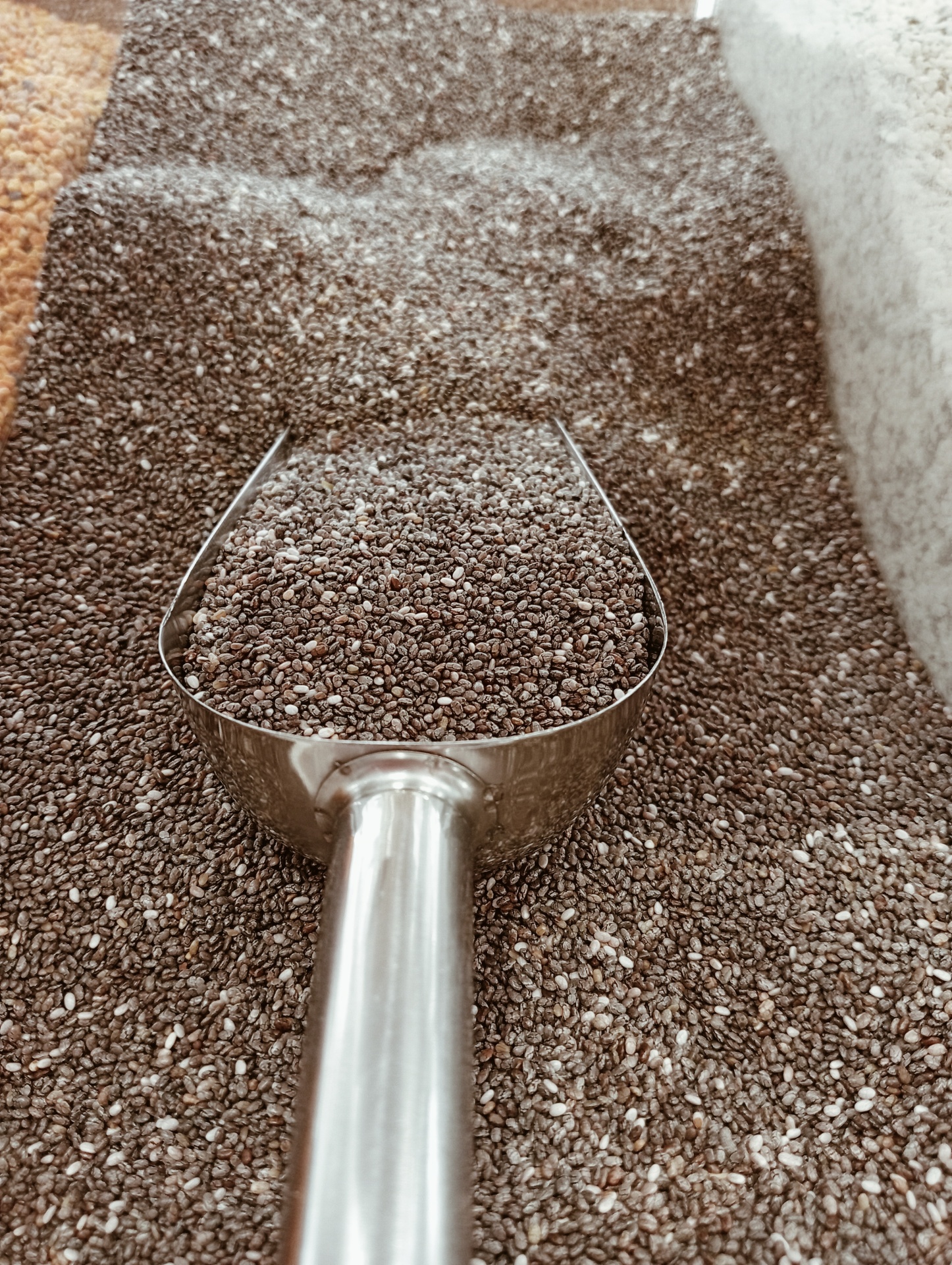 Sementes de Chia GRANEL Pá metálica cheia de sementes pretas sobre uma superfície com sementes pretas e brancas