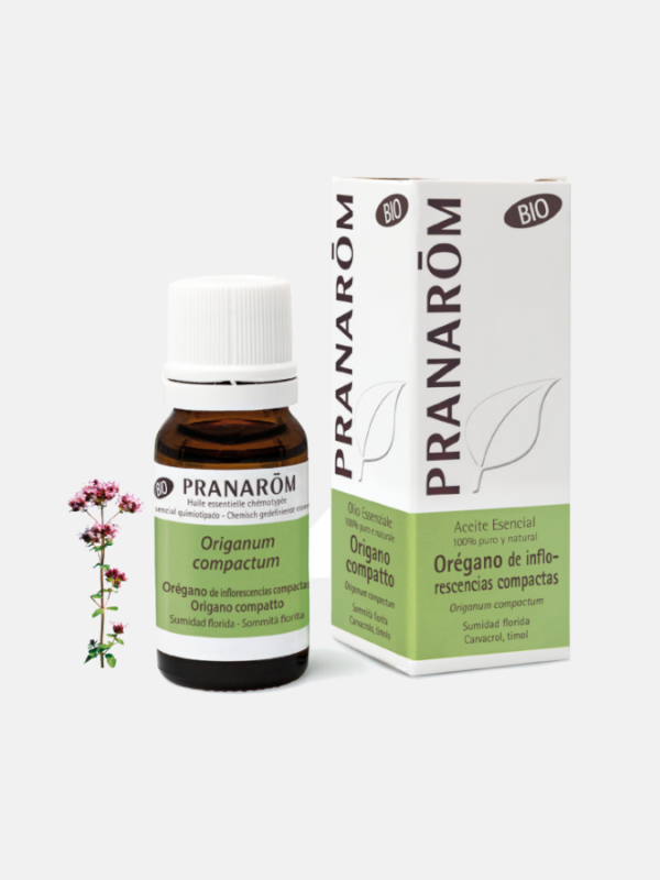 Óleo Essencial de Oregão Compacto Pranarom 10ml Frasco e caixa de óleo essencial de Origanum compactum da marca PRANARÓM com planta de orégano