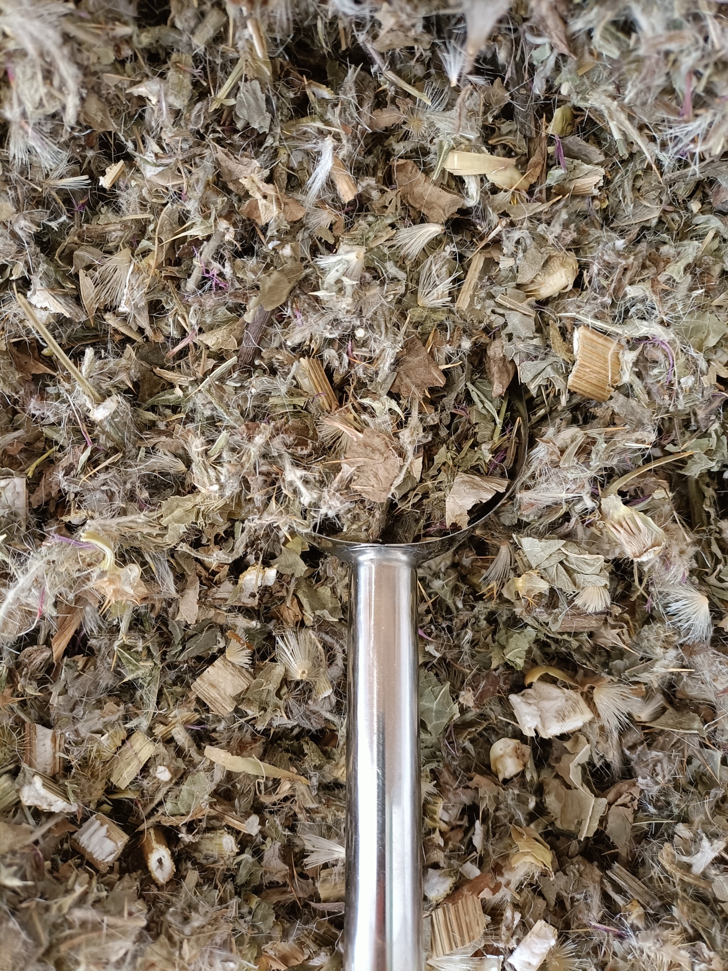 Cardo Mariano GRANEL Ervas secas em mistura com colher metálica prateada