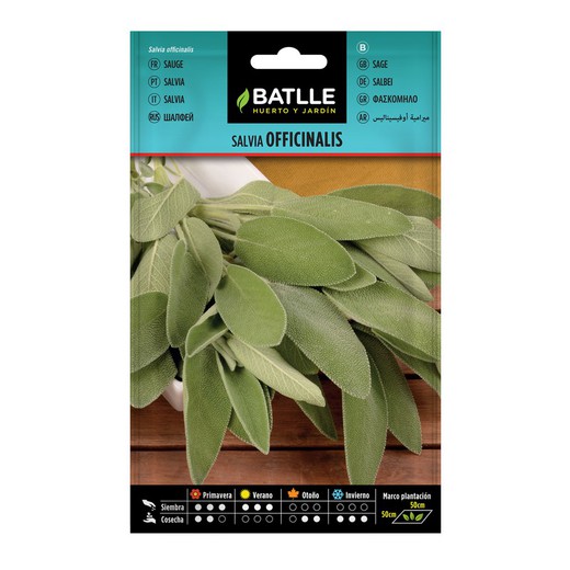 Salvia Officinalis Batlle 1,5g Pacote de sementes Salvia Officinalis da marca BATLLE com imagem de folhas verdes