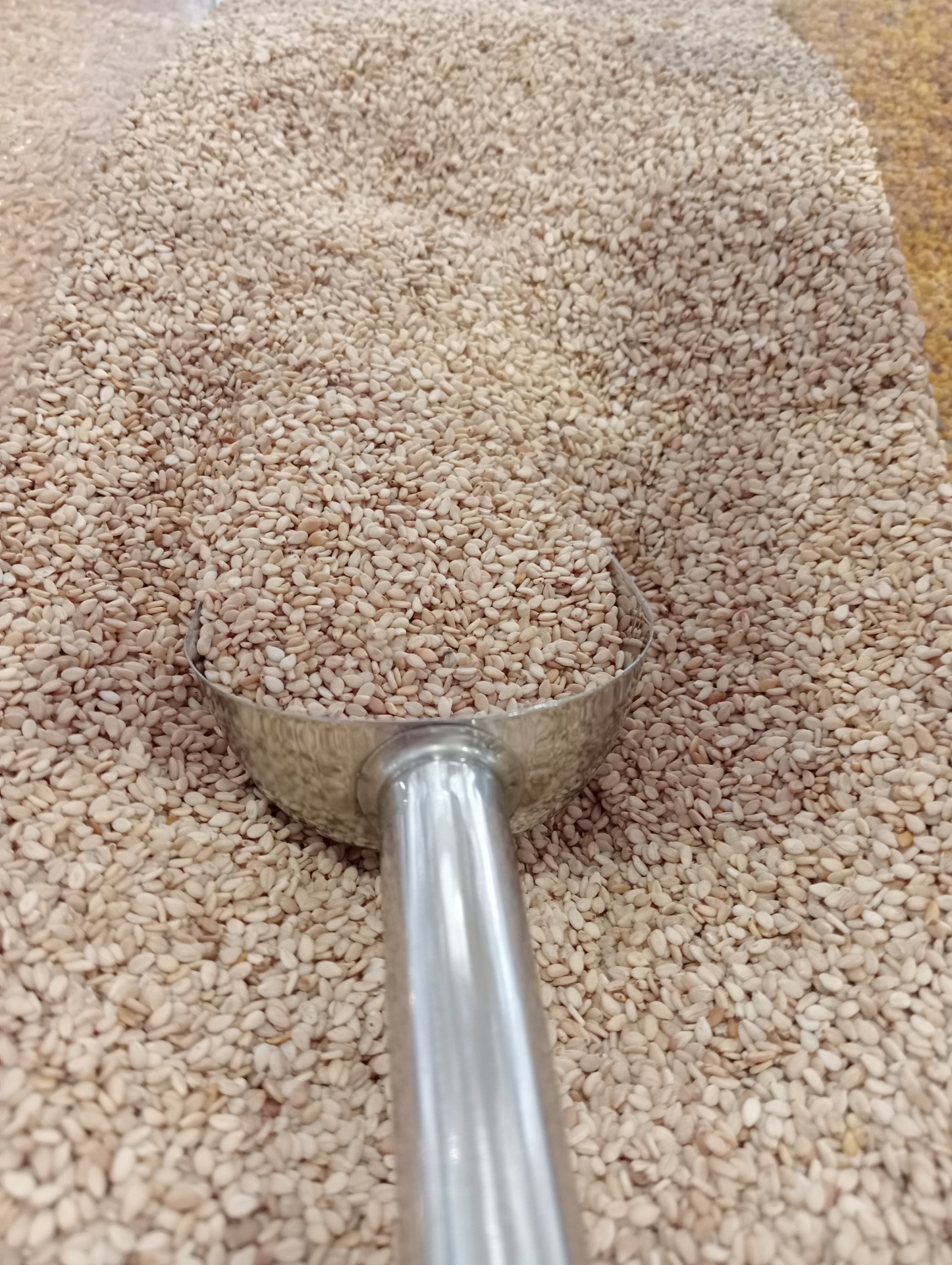 Sementes de Sésamo Torrado GRANEL Espátula metálica com sementes de sésamo bege