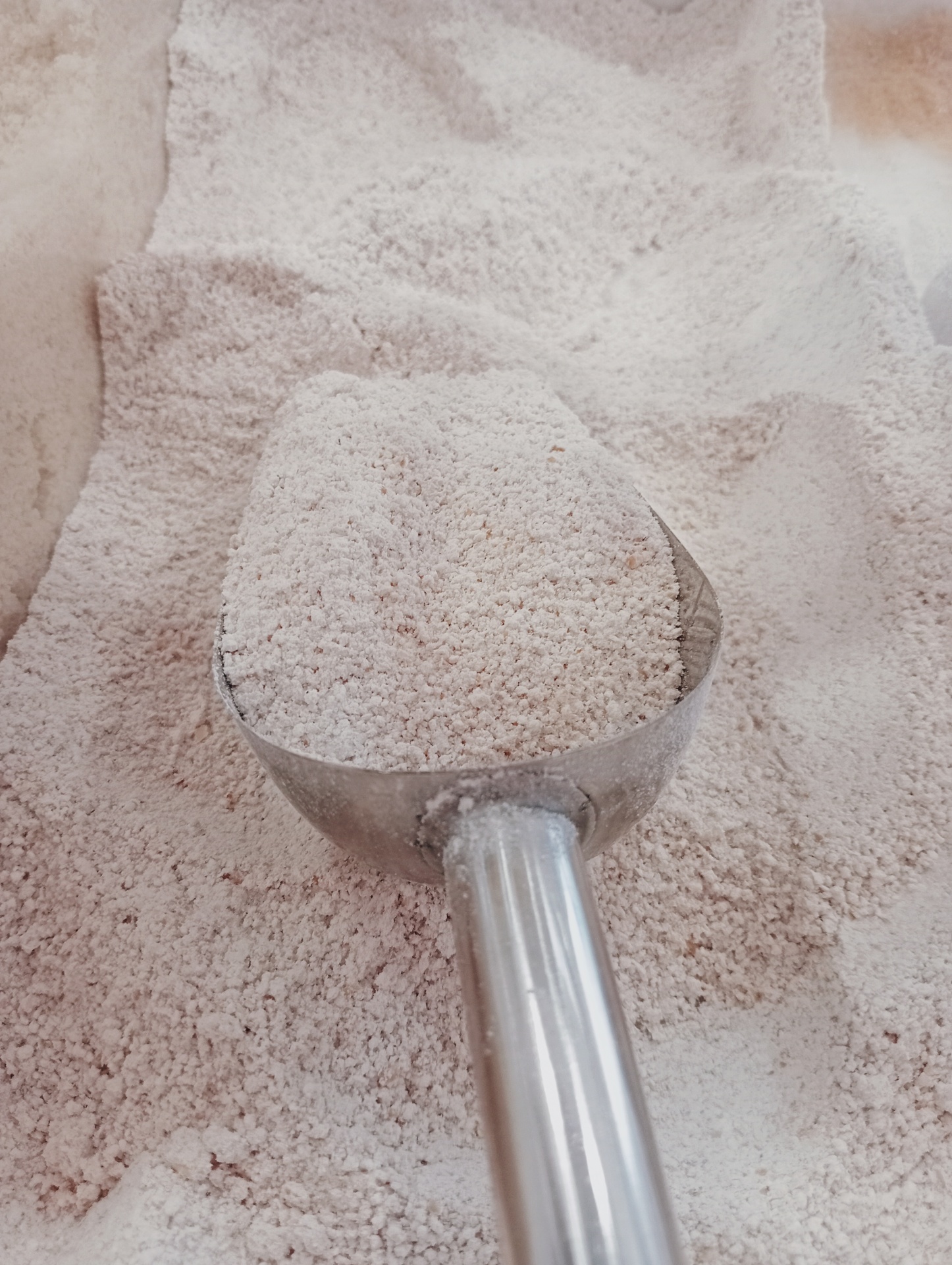 Farinha de Trigo Sarraceno GRANEL Pá metálica cheia de farinha branca sobre superfície com farinha